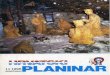 Hrvatski planinar · 2011-03-12 · Velebitske obilaznice. Priznanjeje uruëeno Komisiji za planinarske puteve i ... nja 1994. plan rada Komisija HPS, regionalnih saveza i odbora,