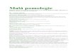 Malá pomologiei0.cz/s/nosf/c2WT1R/514461/Malá_pomologie.pdf · Malá pomologie Základní seznam ovocných dřevin doporučených pro zahrady Regionu Podluží - Jižní Moravy