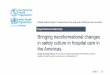 Bringing transformational changes in safety culture …...Slide - 17 Bringing transformational changes in safety culture in hospital care in the Americas Organizational leadership