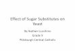 Effect of Sugar Substitutes on Yeast science/PJAS...Effect of Sugar Substitutes on Yeast By Nathan Lucchino Grade 9 Pittsburgh Central Catholic Microbial Flora •Normal populations