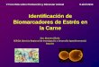 Identificación de Biomarcadores de Estrés en la Carne · 2013-05-24 · Identificación de Biomarcadores de Estrés en la Carne Dra. Mamen Oliván SERIDA (Servicio Regional de Investigación