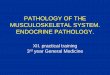 PATHOLOGY OF THE MUSCULOSKELETAL …ustavpatologie.upol.cz/_data/section-1/406.pdfPATHOLOGY OF THE MUSCULOSKELETAL SYSTEM. ENDOCRINE PATHOLOGY. XII. practical training 3rd year General