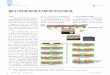扇出型面板级封装技术的演进sisc.actintl.com.cn/PDF/2019/0203/TECHNOLOGY2.pdfTECHNOLOGY FOPLP \ 30 2019年 2/3月 半导体芯科技 扇出型面板级封装技术的演进