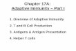 Chapter 17A: Adaptive Immunity – Part I Chapter 17A.pdf · Chapter 17A: Adaptive Immunity – Part I 1. Overview of Adaptive Immunity 2. ... In this way, phagocytes involved in