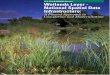 U.S. Fish & Wildlife Service Wetlands Layer - …...U.S. Fish & Wildlife Service Wetlands Layer - National Spatial Data Infrastructure: A Phased Approach to Completion and Modernization