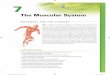 the Muscular System - Pearson Education · 2019-02-20 · the Muscular System: Movement for the Journey 127 internal movement (circulation) of blood within the body. Fortunately,