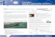 CapAdapt - anr.fr · CapAdapt For a better understanding of adaptive capacity to climate change: lessons from low-lying coastal areas (Bangladesh, Kiribati, French Polynesia)