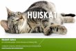 HUISKAT - Hoërskool Bergvlam · 2019-01-30 · Verduidelik in jou eie woorde hoe jy dink die persoonlikheid van die kat is volgens strofe 1. 8. Dui die enjambement in strofe 1 aan