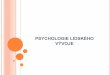 PSYCHOLOGIE LIDSKÉHO VÝVOJE - Masaryk University · podstatu psychického vývoje vývoj libida - životní energie, kterou spojoval s principem slasti. lovk podle Freuda lokalizuje
