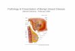 Pathology & Presentation of Benign Breast Disease Zdenek ...pathology.jcu.edu.au/webpath/pathnotes/Readings... · ANDI Aberrations of normal development and involution, Hughes 2000