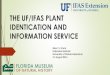 THE UF/IFAS PLANT IDENTICATION AND INFORMATION SERVICEgardeningsolutions.ifas.ufl.edu/mastergardener/pdfs/resources/sw_plant... · THE UF/IFAS PLANT IDENTICATION AND INFORMATION SERVICE