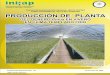 PRODUCCIÓN DE PLANTA DEL GÉNEROsivicoff.cnf.gob.mx/ContenidoPublico/09 Manuales... · 2017-06-14 · 7 incrementan los costos y se alarga el tiempo de establecimiento de la plantación