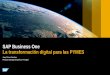 SAP Business One La transformación digital para las PYMES · 2018-04-26 · Los componentes: Nube y movilidad Asegurar la Seguridad, privacidad y disponibilidad Podemos elegir entre