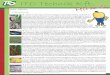 2017. március Híreink - ITO Technik Kft · ITO Technik Kft. Hírlevél 2017. március Híreink A vaszabi (wasabi, japán vizitorma) jellegzetes távol-keleti zöldség, amelynek