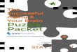 The Successful Aging & Your Brain Puzzle Packet · The Successful Aging & Your Brain Puzzle Packet STAY SHARP! Exercise your mind with these puzzles & you may help your brain Explore