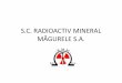 S.C. RADIOACTIV MINERAL MĂGURELE S.A. Documents/Meetings/4th Workshop, 2015...•1961 Trustul Metale Rare, Grup Secții Geologice/ RARE EARTH TRUST, Group of geological branches 