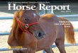 May 2015 - ceh.vetmed.ucdavis.edu Report...perinatal risk. More than ever, horse owners and veterinarians are equipped to keep foals out of the NICU. This Horse Report highlights the