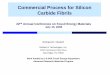 Commercial Process for Silicon Carbide Fibrils · Microwave synthesis was selected as this new approach 2000 ... Silicon Carbide Fibrils can be formed into heat exchanger tubes that