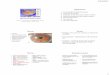 How Dry I AM - sdeyes.org · 2/24/2017 4 A Healthy Tear Film A healthy tear film is comprised of 3 layers: Mucin, Aqueous, and Lipid 800 nm 8,000 nm 100 nm Two Primary Forms of Dry