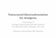 Transcranial Electrostimulation for AnalgesiaTranscranial Electrostimulation for Analgesia iFarmTeam 3 Elizabeth Esponnette, Brenda Koehler, Eric Reuland, YaserShanjani, Eric Trac