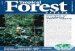 A newsletter from the International Tropical Timber ...and Spanish) by the International Tropical Timber Organization. Content does not necessarily reflect the views or policies of