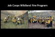 Job Corps Wildland Fire Program - gacc.nifc.gov · 2 Advanced Fire Mgt. Training Programs . Public Lands Corps . JCCCC Fire Crews/Modules, ... • If student(s) are released early