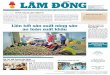 Liên kết sản xuất nông sản - Báo Lâm Đồngbaolamdong.vn/upload/others/201807/28615_Bao_Lam... · Liên kết sản xuất nông sản an toàn xuất khẩu Người