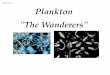 Plankton Notes Plankton The Wanderers...Plankton Notes Primary Production in the Pelagic Zone Phytoplankton- microscopic, single-celled algae. Not true plants. Classiﬁed in the Kingdoms
