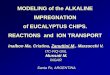 MODELING of the ALKALINE IMPREGNATION of EUCALYPTUS CHIPS ... · MODELING of the ALKALINE IMPREGNATION of EUCALYPTUS CHIPS. REACTIONS and ION TRANSPORT . KRAFT PROCESS STEAMING IMPREGNATION