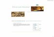 Chapter 18: Powder Metallurgy Metalurji Bolum 2.pdf · 1. Çeitli yöntemler ile ümitli bölgelerin saptanmas ... Havadan Jeofizik Hava Fotoğrafları Saha Çalışmaları Manyetik