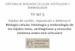 Biología celular, histología y embriología de los …biologiacelular.webs.fcm.unc.edu.ar/files/2017/05/2017...CÁTEDRA DE BIOLOGÍA CELULAR, HISTOLOGÍA Y EMBRIOLOGÍA TP Nº 5