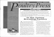 In the Turkey Breeding Factory · 2019-12-05 · Artificial Insemination of Poultry T his USDA/poultry industry-sponsored symposium, June 19-22, 1994, University of Maryland, College