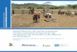 Redistribución de tierras a jóvenes rurales mediante ...juventudruralemprendedora.procasur.org/wp-content/uploads/2015/04/Nicaragua_v7.pdfa la tierra. Algunas de esas formas pueden