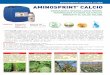 AMINOSPRINT CALCIO - Morami · Recomandat atat ca si nutrient cat si ca biostimolator. Matricea organica este defapt de natura aminoacida lichida obtinuta din tesut animalier hidrolizat