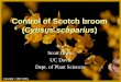 Control of Scotch broom Cytisus scopariusMethods zTreatments were made in September 03 and May 04 zTreatments consisted on a single bush arranged in a complete randomized block design