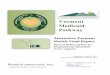 Vermont Medicaid Pathwayhealthcareinnovation.vermont.gov/sites/vhcip/files... · 2017-10-18 · Vermont Medicaid Pathway Alternative Payment Models Final Report Payment Reform Options