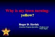Why is my lawn turning- yellow - Texas A&M AgriLifecounties.agrilife.org/karnes/files/2011/08/turfgrass-management-presentation.pdf · Why is my lawn turning-yellow? Roger D. Havlak