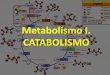 Metabolismo I. CATABOLISMO · Anabolismo ANABOLISMO Comienza en la fase III por los pequeños compuestos originados en la fase III del catabolismo. En la fase II se forman los monómeros