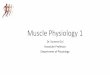Muscle Physiology 1...Muscle Physiology 1 Dr. Sumera Gul Associate Professor Department of Physiology Learning Objectives: At the end of the lecture the students should be able to: