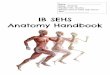 IB SEHS Anatomy Handbook · 2019-05-31 · Axial Skeleton - Overview 6 Axial Skeleton - Vertebral Column Detail 7 Appendicular Skeleton - Overview 8 Long Bones 9 Synovial Joint Structure