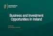 Business and Investment Opportunities in Ireland presentation.pdfMay 16, 2019  · 8 Brexit Advisory Clinics 2017 9 Brexit Advisory Clinics 2018: o Portlaoise Feb o Claremorris March
