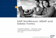 SAP NetWeaver ABAP and Adobe Forms SAP NetWeaver Product Management SAP Labs SAP NetWeaver ABAP and