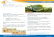 Mono Argent - Aquarium Industries · Mono Argent Monodactylus argenteus Natural Range Large geographical distribution. Red Sea, Australia, Eastern Africa and throughout Southeast
