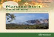 Department of National Parks, Recreation, Sport and Racing ... · Southeast Queensland Bioregion of Queensland Department of National Parks, Recreation, Sport and Racing Planned Burn