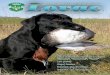 Lovaclovactk.com/lovac/Lovac 67.pdfU BiH je mnoštvo endemičnih životinjskih vrsta. ... u uskom pojasu ravnice, koja predstavlja rub panonske nizije, žive brojne barske i ravničarske