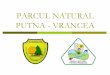 PARCUL NATURAL PUTNA - Parcul Natural Putna Vrancea Alte structuri implicate in administrare: Consiliul