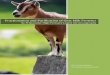Fractionation and Purification of Goat Milk Proteins · Ditte Arnanguaq Madsen Arla Foods and Aalborg University Fractionation and Purification of Goat Milk Proteins by Preparative