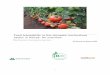 Food traceability in the domestic horticulture sector in ......horticulture sector in Kenya, with the aim to of using traceability as a tool to stimulate investments in food safety