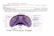 THE THORACIC REGION - medscistudents 1102/2. THE... · superior border of the abdominal region. ... margin of the first ribs and their costal cartilages and the upper border of the