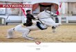 PATRONAGE - SRS · SCHOOL STALLIONS € 10.000 PER YEAR AS A PATRON YOU ARE OFFERED: – a framed certificate with a picture of the stallion – an excerpt from the pedigree and information
